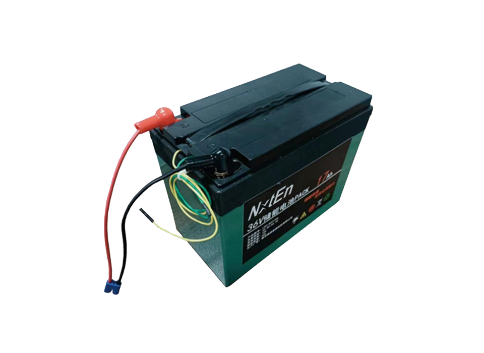 Emergency Systems Battery
